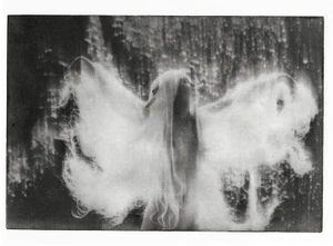 Monochrome fashion editorial image of a woman with long hair wearing a translucent white garment against a dark textured background.