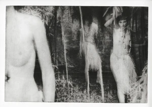 Black and white editorial fashion photograph featuring multiple models posing among dense bamboo vegetation.