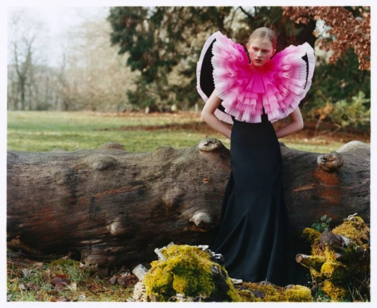 A fashion model stands behind a large fallen log in a park wearing a black evening gown with an oversized pink and white ruffled collar.
