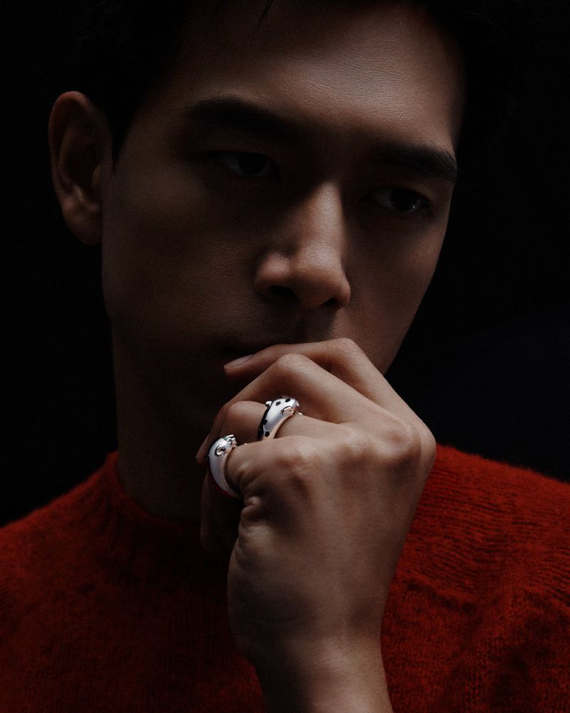 Portrait of an adult male with black hair wearing a red sweater and two rings with black and white animal designs against a dark background.