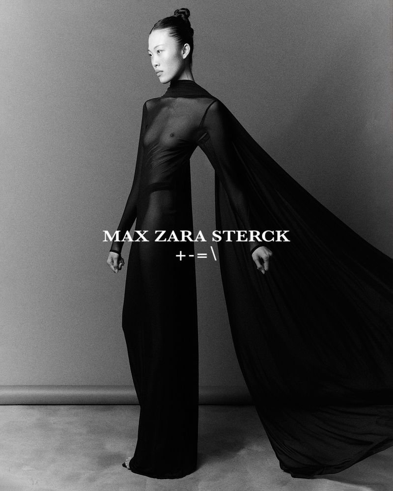 Black and white portrait of a slender adult female fashion model in a sheer black gown with flowing sleeves posing in a photo studio.