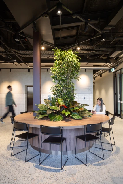 Modern office space featuring a round table with plants, surrounded by black chairs, and a woman using a device.