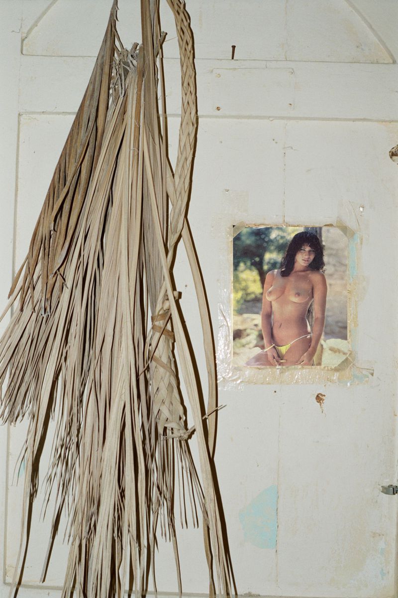Photo of dried palm leaves and a poster of a woman in a bikini on a white wall indoors with natural lighting, textured and raw.