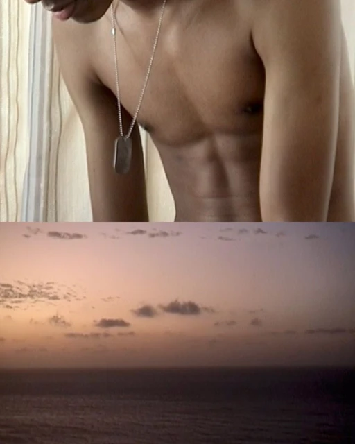 Striking image of a shirtless man wearing a military dog tag pendant with an ocean sunset background, highlighting human form and nature.