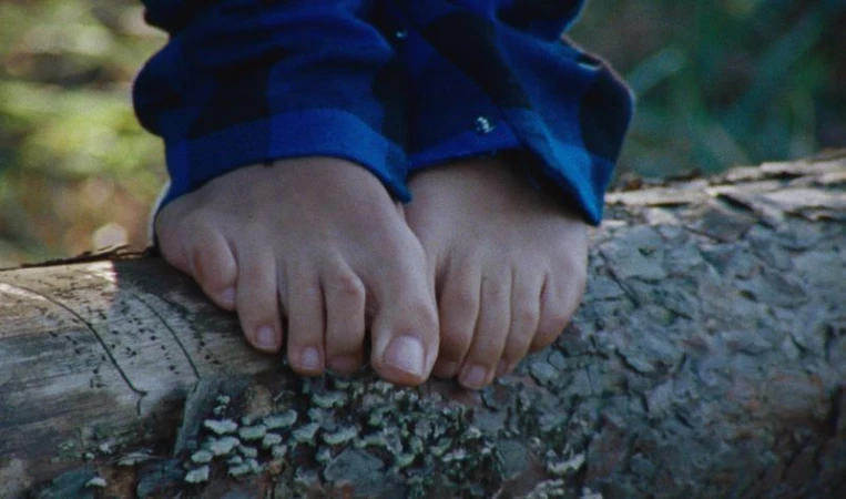 Close-up of bare feet on a log, a child's lower legs in blue plaid pants are visible, and a blurry outdoor forest background is present.