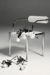 A modern chrome armchair with white cushions holding a bouquet of white roses, with scattered roses on the floor in a studio setting.
