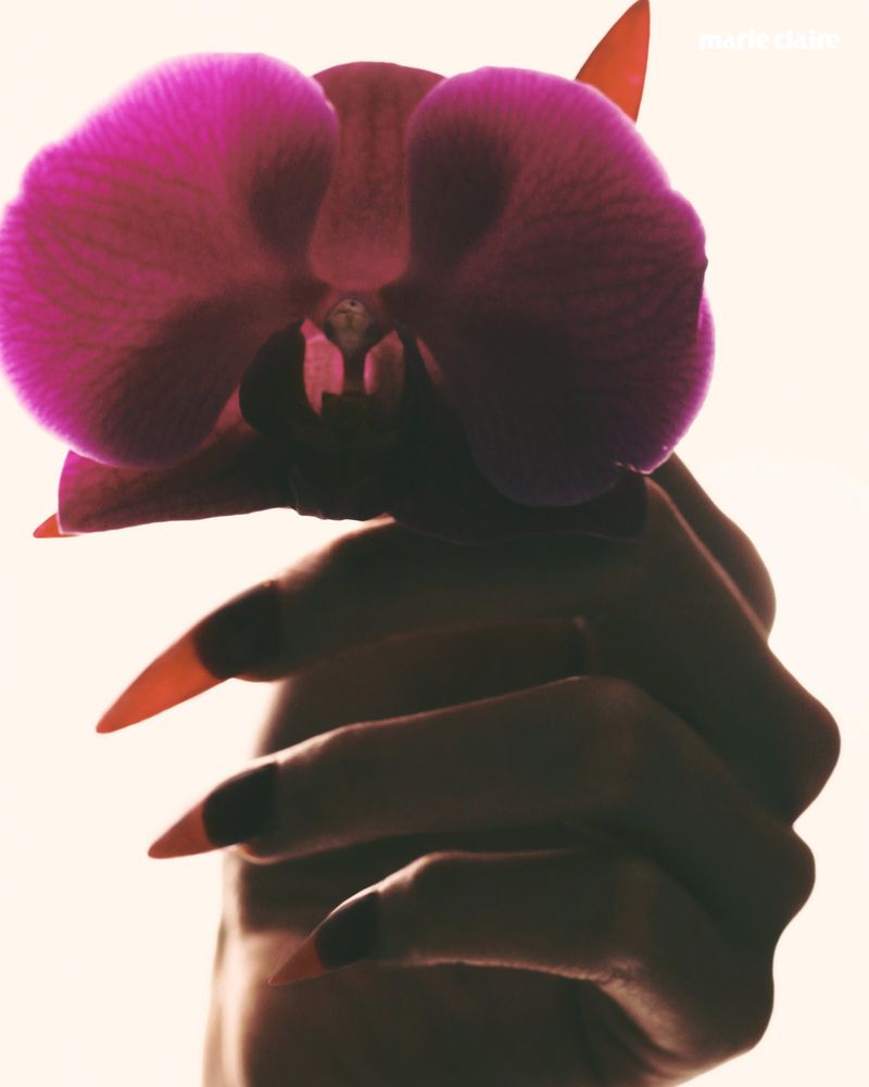 Close-up of woman's hand with long, pointed nails holding a vibrant pink orchid against a light background, creating an elegant floral display.