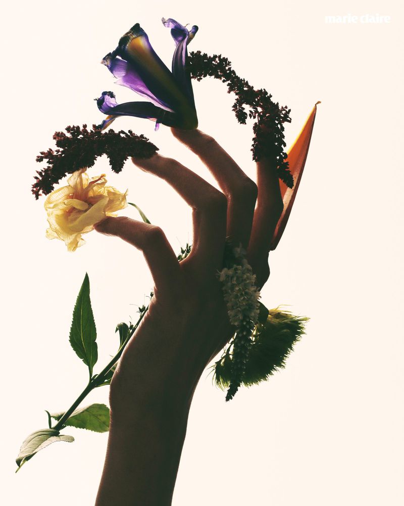 Close-up of a person's hand holding an assortment of flowers and stems against a bright white background with visible text.