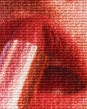 Macro shot of a person brushing their teeth, focusing on the toothbrush and part of the mouth, capturing a beauty and healthcare moment.