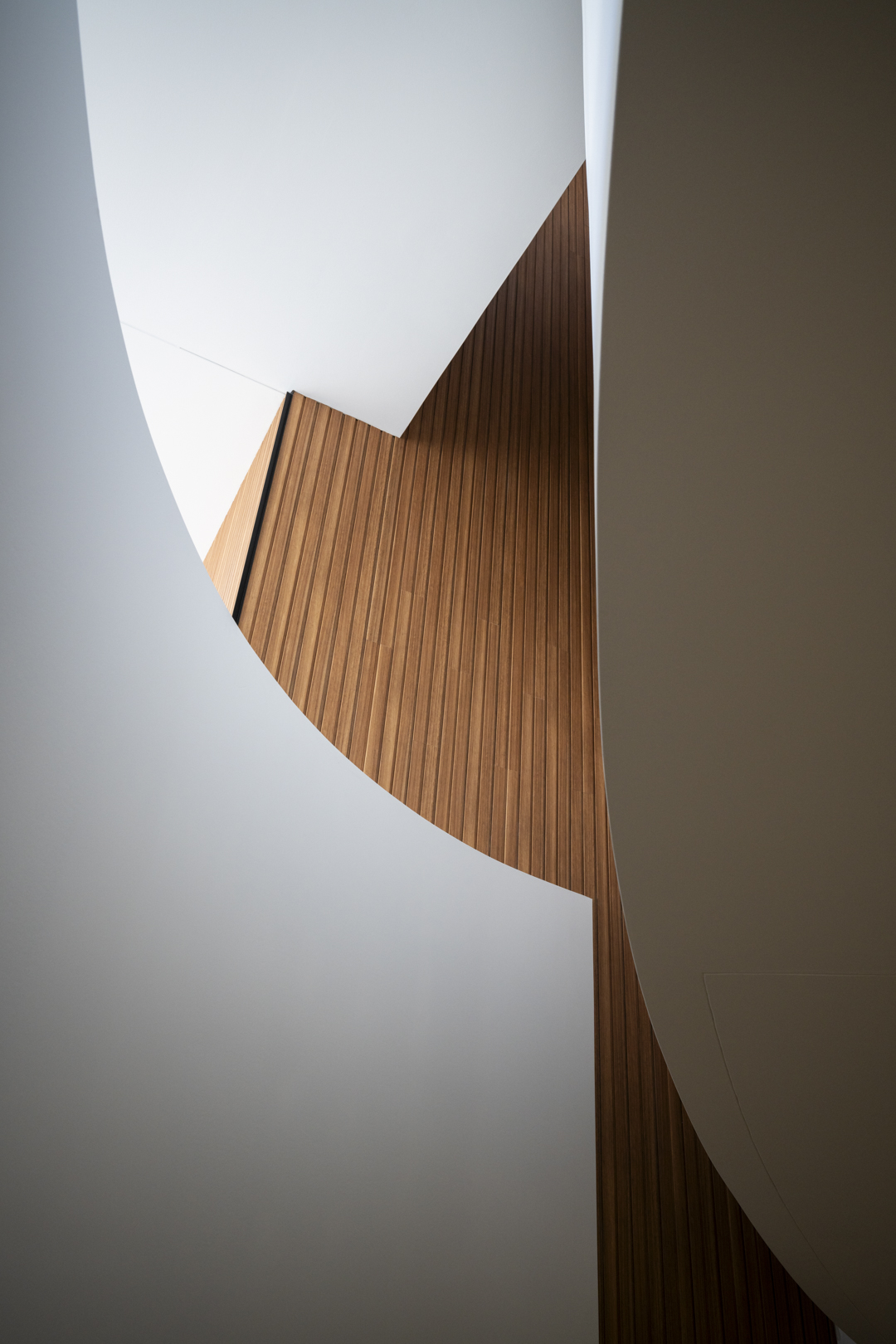 Architectural interior featuring white curved walls and a textured wood wall, showcasing minimalist design and light play.