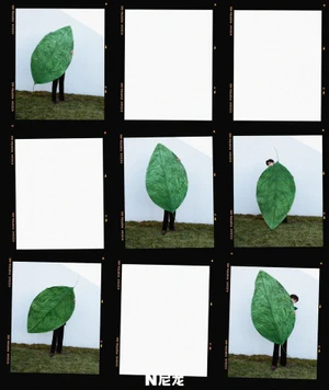 Contact sheet of nine frames featuring a person holding a large green leaf prop outdoors against a white wall.