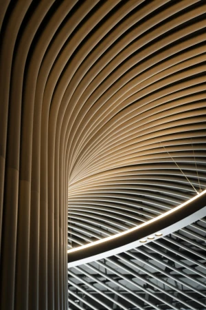 Curved wooden slat ceiling and structural column with integrated ring lighting photographed from below.