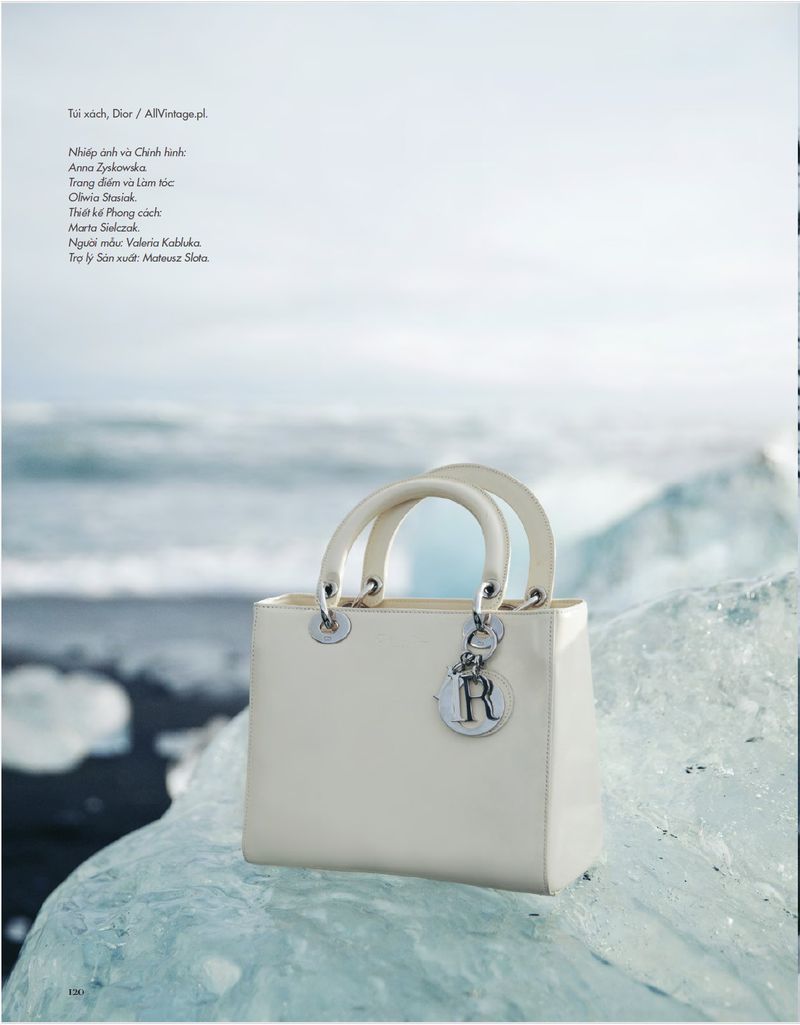 Fashion editorial shot featuring a white Dior handbag on an icy terrain, complemented by a soft, overcast sky and stark monochrome contrasts.