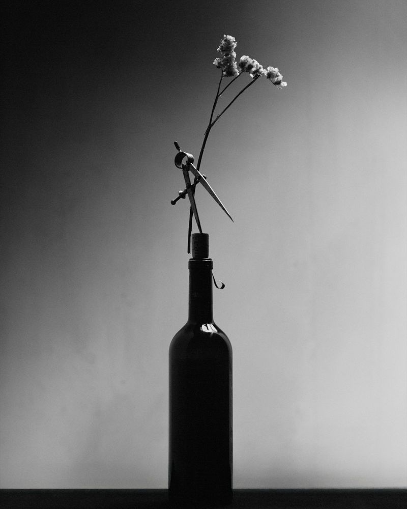 Still life of a wine bottle, drafting compass, and dried flower in monochrome. The compass is perched delicately on top of the bottle.