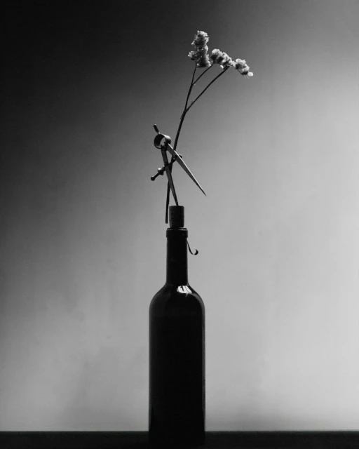 Still life of a wine bottle, drafting compass, and dried flower in monochrome. The compass is perched delicately on top of the bottle.