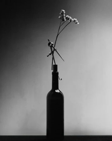 Still life of a wine bottle, drafting compass, and dried flower in monochrome. The compass is perched delicately on top of the bottle.