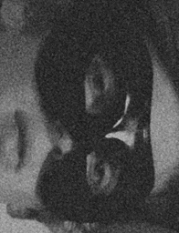 Close-up monochromatic portrait with heavy film grain showing an abstract textured composition.