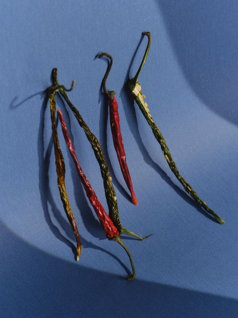 Still life studio shot of a group of colorful chili peppers on a blue cloth background with shadows, highlighting their textures and shapes.