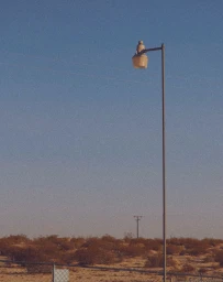 A lone streetlamp standing against a dusk sky over a desert landscape with sparse low shrubs and a wire fence.