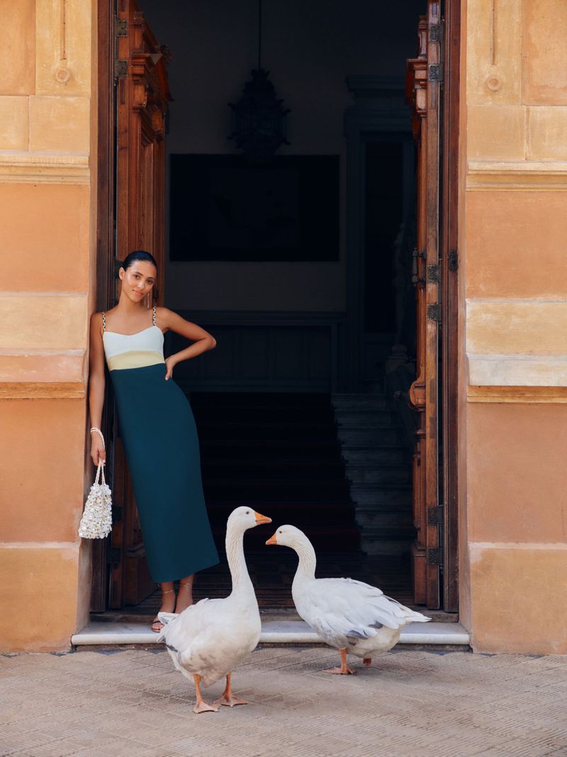 Elegant woman in dress standing at an ornate doorway with two white geese in foreground on stone in outdoor setting with natural light.