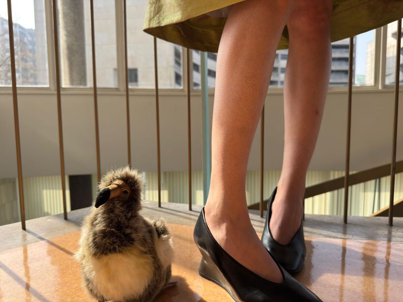 Low-angle view of a woman's legs and feet wearing black heels on a patterned surface, with a plush dodo bird toy on the left.