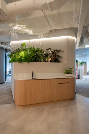 Modern office interior featuring a wooden kitchenette cabinet, integrated planters with lush green indoor foliage, and an exposed ceiling.