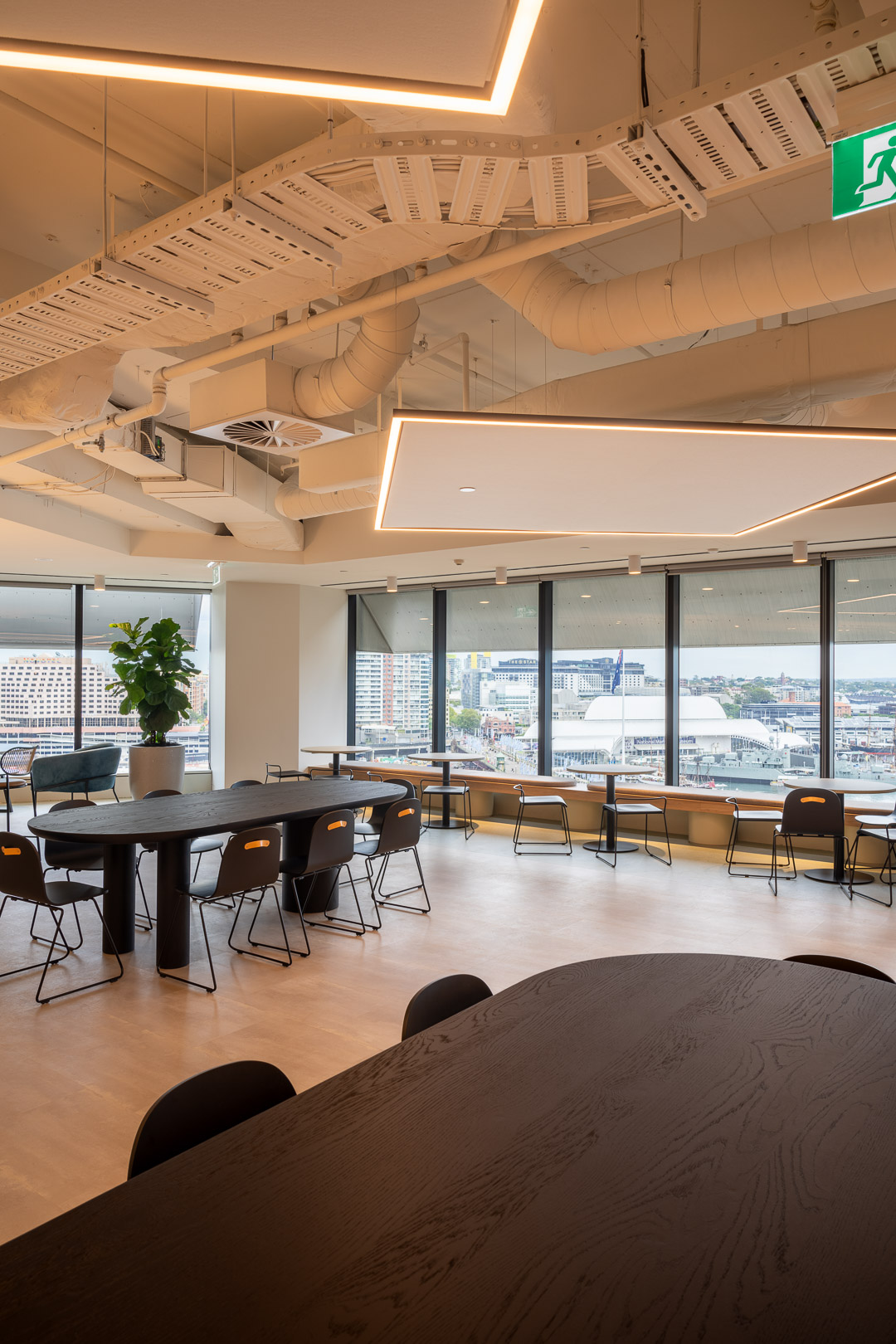 Office interior featuring rows of long tables with chairs, a potted plant, and a view of the cityscape through the large windows.