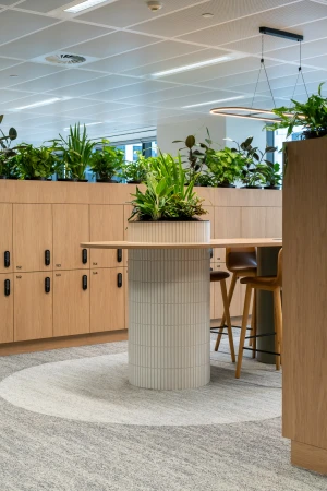 Bright office space with custom storage, round table and stools, houseplants, and soft light modern workplace interior design.