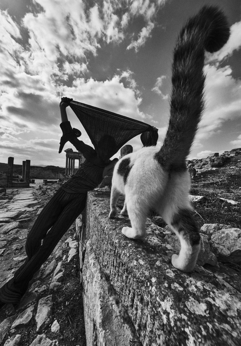 Black and white image of a cat walking on a stone ledge in front of a person holding fabric in an ancient ruin setting under a cloudy sky.