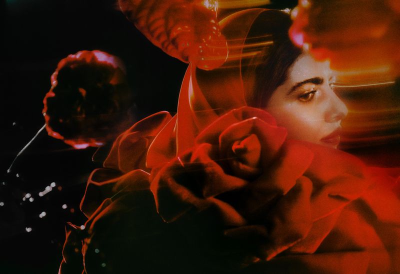 Side profile of adult female surrounded by red roses in a studio with blurred lighting, creating a soft, artistic photographic portrait.