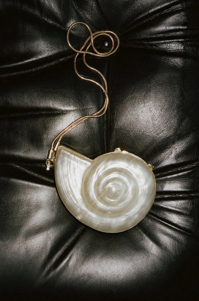 Nautilus shell evening clutch with a thin gold strap resting on black leather upholstery