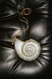 Nautilus shell evening clutch with a thin gold strap resting on black leather upholstery