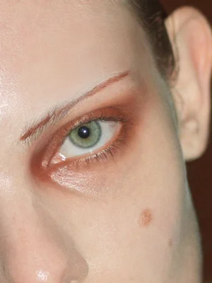 Close-up portrait of a person's green eye and skin with warm bronze eyeshadow and a distinct mole on the cheek.