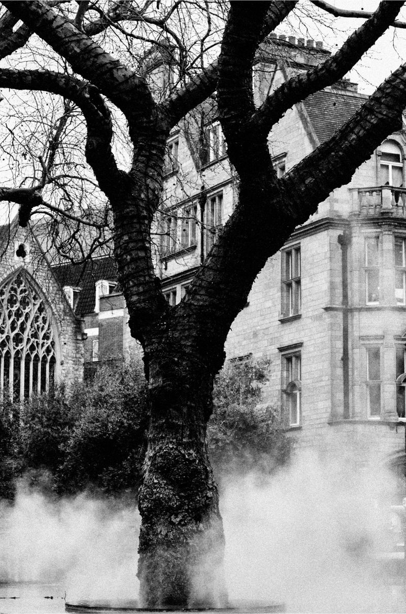 Black and white image of a large bare tree trunk surrounded by low mist in front of traditional architecture.