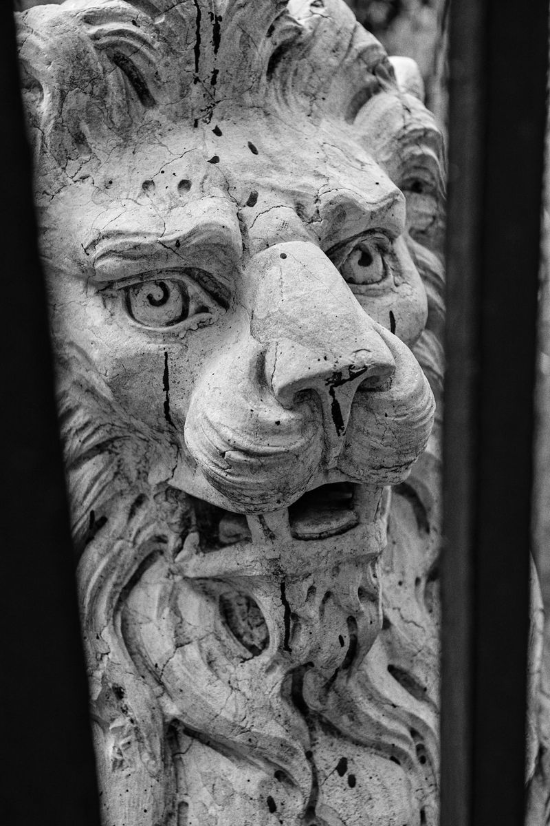 Monochrome stone lion sculpture close-up, showcasing detailed carving and weathered texture against a dark background, captured in a vertical frame.