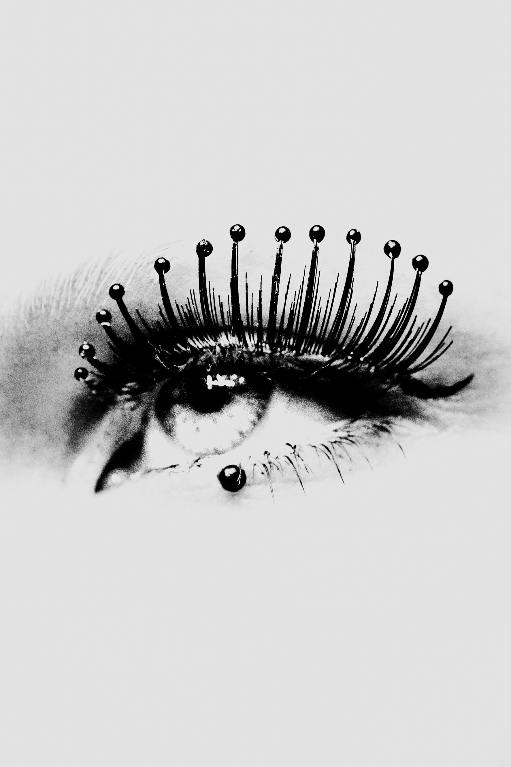 Close-up macro shot of a human eye featuring dark eyelashes adorned with small black pin-like spherical beads.
