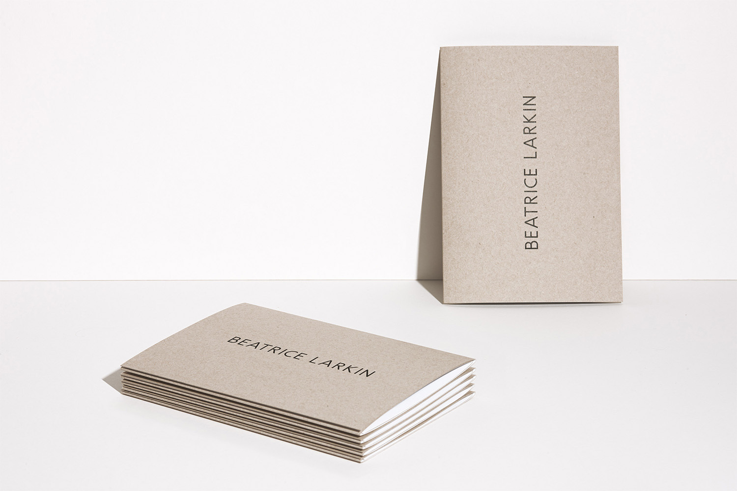 Beatrice Larkin brand identity stationery featuring stacked grey-beige cards and a vertical folded booklet on a white surface.
