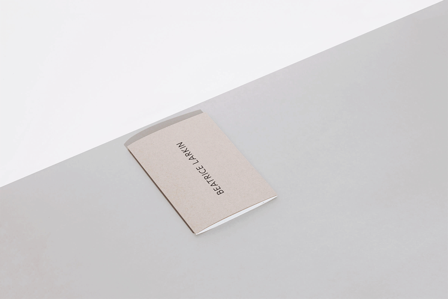 Beatrice Larkin business card resting on a minimalist grey and white geometric surface