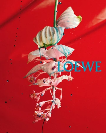 Hanging floral stem coated with dripping blue paint against a vibrant red background for Loewe Pre-Spring 2026 campaign.