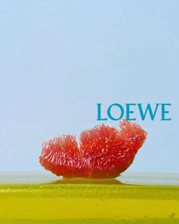 Close-up macro shot of a segment of pink grapefruit resting on a yellow surface against a pale blue background with Loewe text