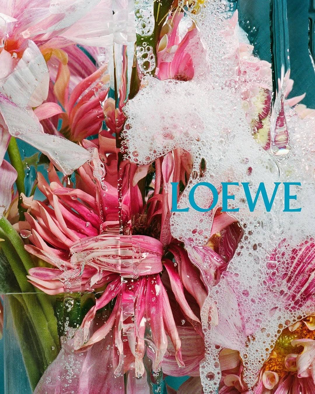 Close-up macro shot of pink flowers submerged in water with white soapy foam and the blue Loewe brand name visible