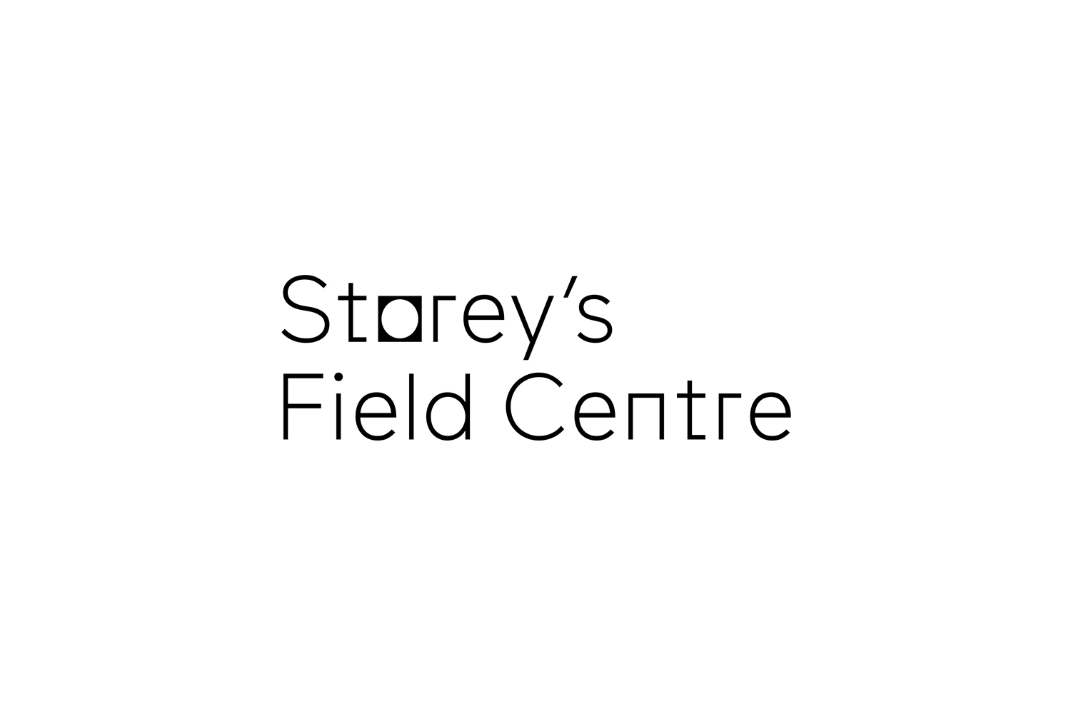 Storey's Field Centre brand identity logo featuring minimalist black typography on a plain white background.