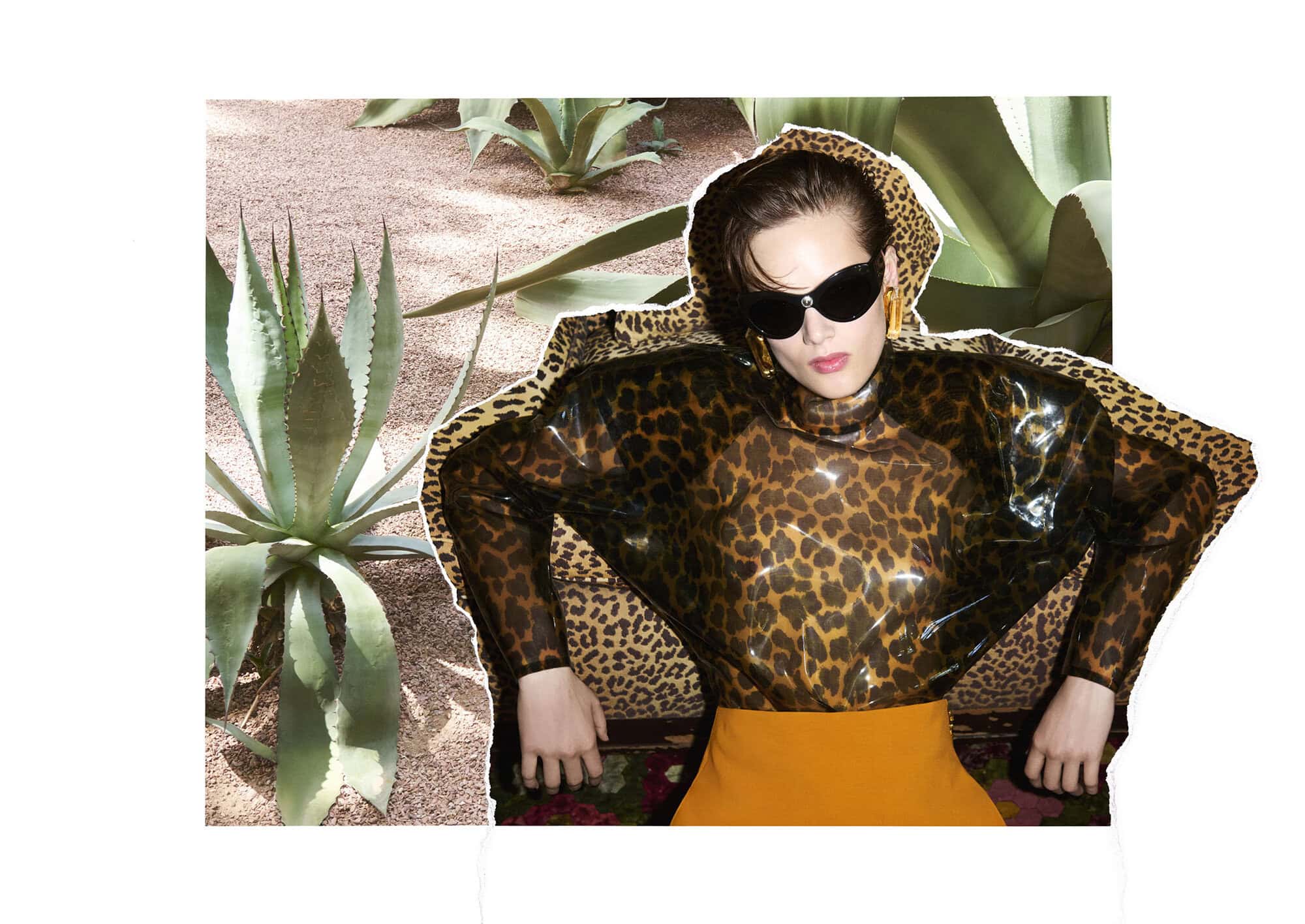 Model wearing leopard print top and sunglasses collaged against an arid succulent and desert gravel background