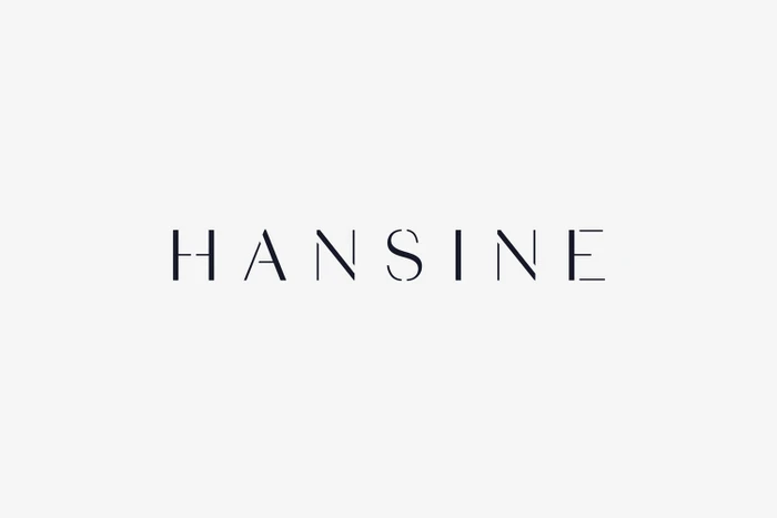 Minimalist black typographic brand logo spelling HANSINE centered on a plain white background.