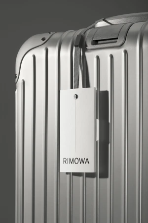 Brand Identity