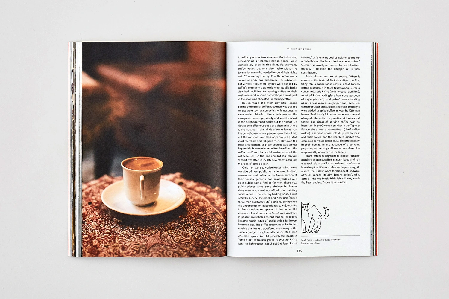 Open magazine spread on white background showing a coffee cup on the left page and columns of text with an illustration on the right.