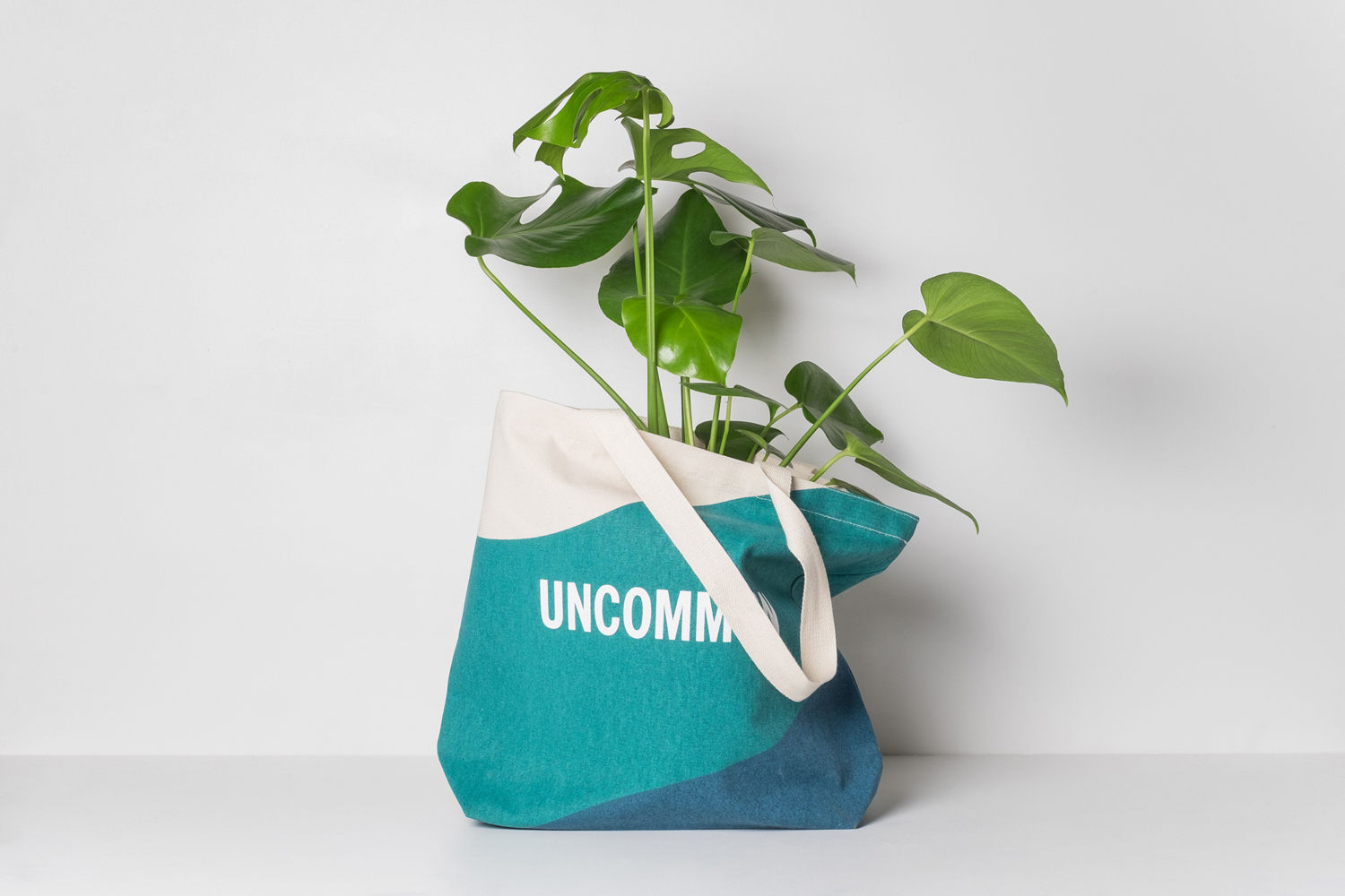 A teal and white canvas tote bag branded with Uncommon rests on a white surface with a green plant growing out of it.