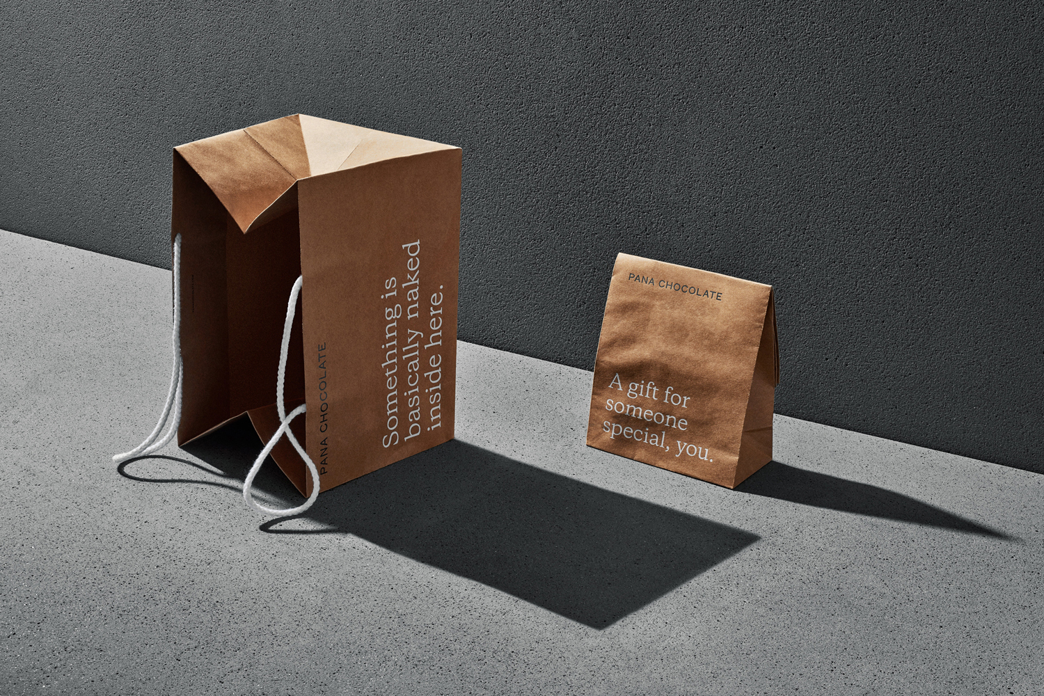 Two brown kraft paper bags with white string handles set on a grey textured surface with cast shadows
