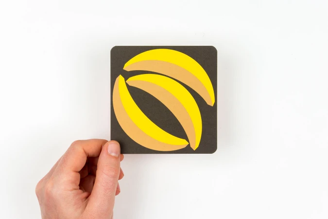 Brand Identity