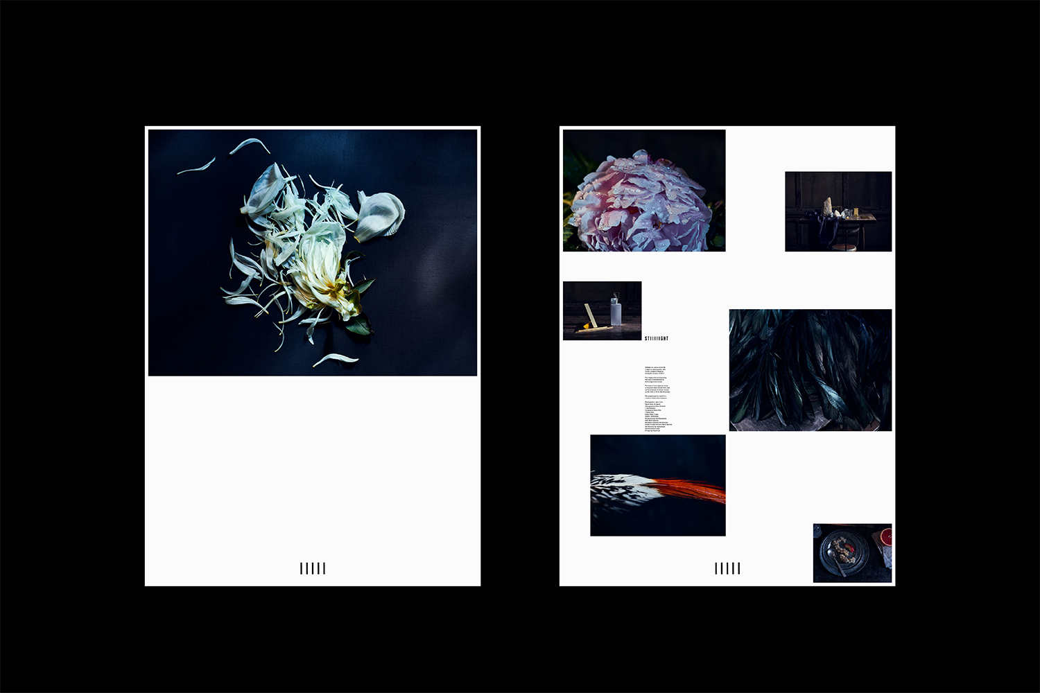 Editorial layout displaying botanical photography and graphic design elements against a white background